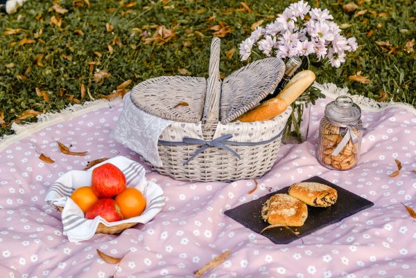Nepremokavá pikniková deka "Ružová lúka"